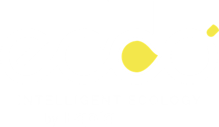 EDDO by Eqoia